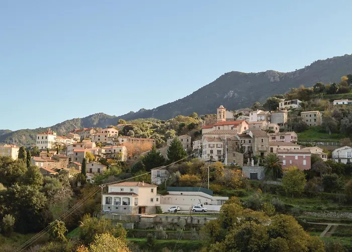 Appartement Stunning In